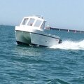 Bobcat by sutton workboats - picture 6